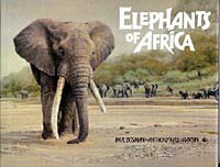 Elephants of Africa by Paul Bosman(8388 bytes)