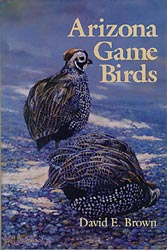 Arizona Game Birds illustrated by Paul Bosman15311 bytes)