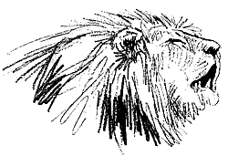 roaring lion by Paul Bosman.gif (18565 bytes)
