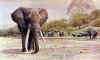magnificent seven elephant prints.shingwedzi.JPG (26499 bytes)